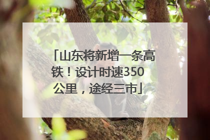 山东将新增一条高铁！设计时速350公里，途经三市
